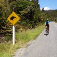 Beware of Kiwis on the West Coast of NZ! | Sandra Appleby