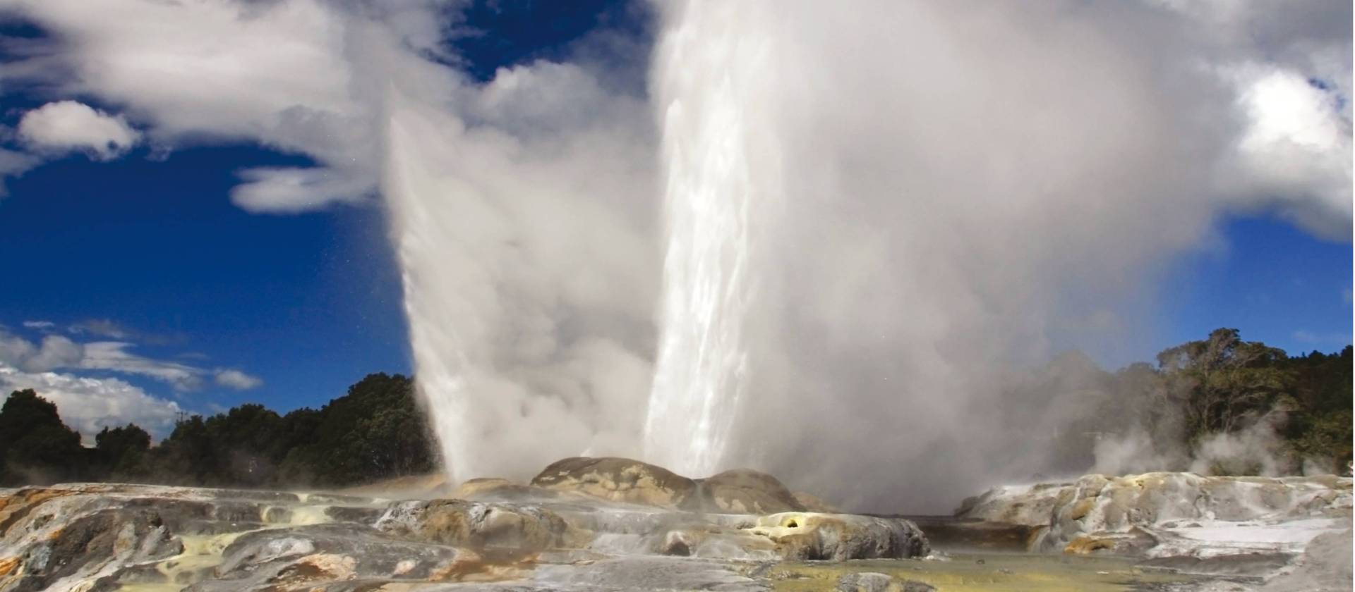 Pohutu geyser erupts at Whakarewarewa Thermal Valley in Rotorua