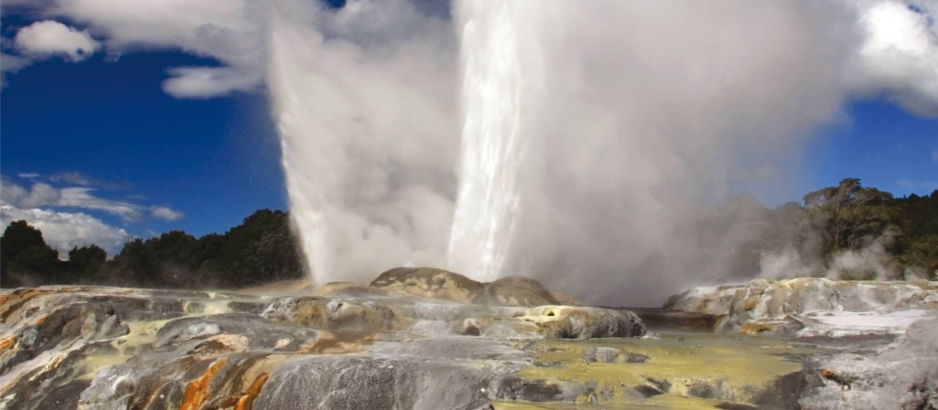 Pohutu geyser erupts at Whakarewarewa Thermal Valley in Rotorua