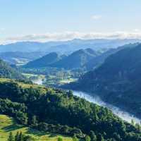 Whanganui Journey looking beautiful and lushes