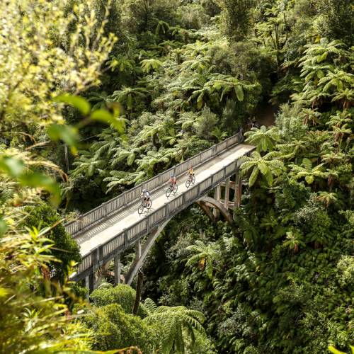 Cyclists riding across the Bridge to Nowhere, Whanganui
