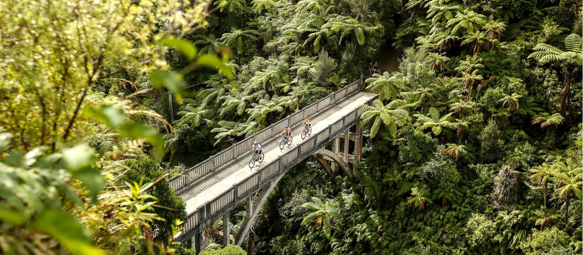 Cyclists riding across the Bridge to Nowhere, Whanganui | Visit Ruapehu