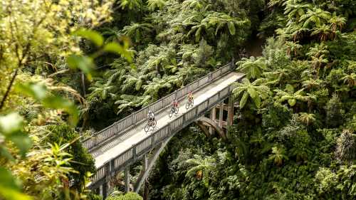 Cyclists riding across the Bridge to Nowhere, Whanganui | Visit Ruapehu