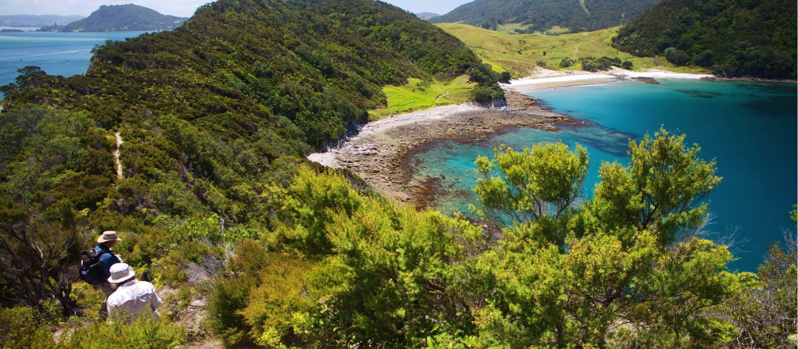 Hiking in the Bay of Islands | Malcolm West