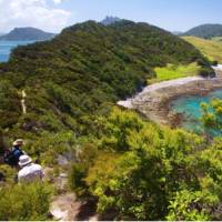 Hiking in the Bay of Islands | Malcolm West
