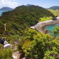 Hiking in the Bay of Islands | Malcolm West