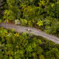 Cycling is one of the lowest impact forms of travel on the environment |  <i>Lachlan Gardiner</i>