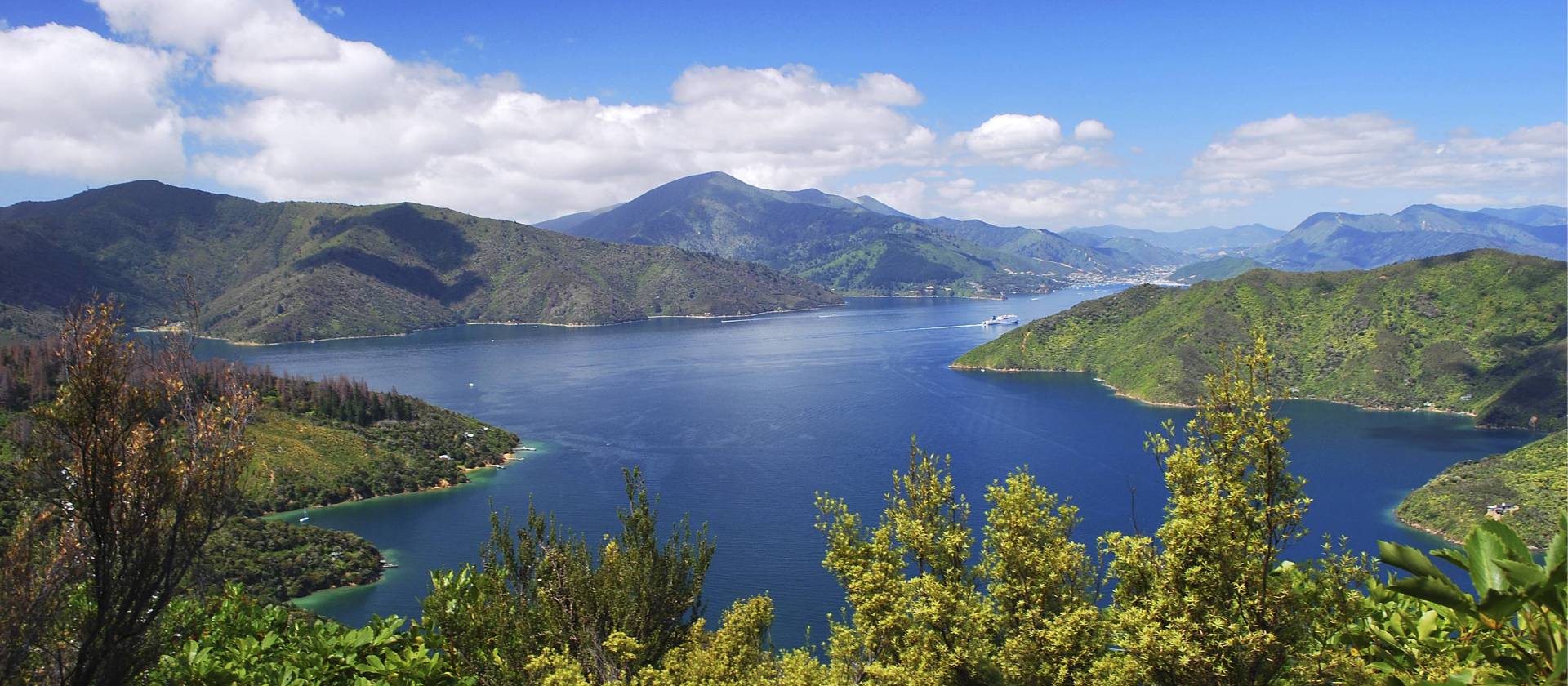 View of Marlborough Sound from the Queen Charlotte Track