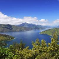 View of Marlborough Sound from the Queen Charlotte Track