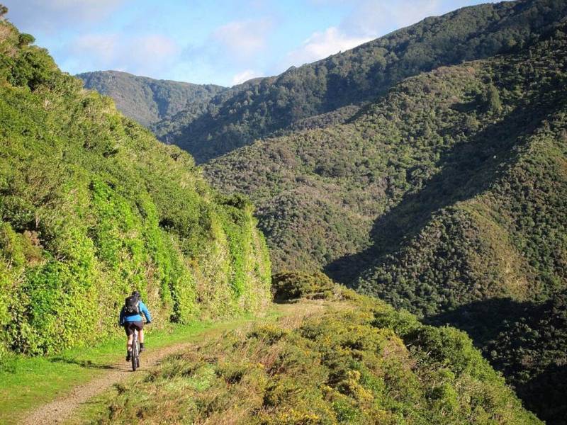 Cycling through the Remutaka Ranges |  <i>Sarah Bennett</i>