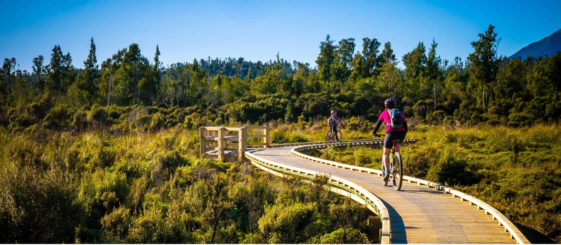 Cycling along the West Coast Wilderness Trail | Stephen Roberts
