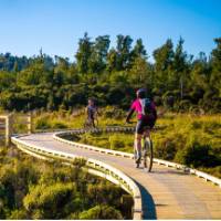 Cycling along the West Coast Wilderness Trail | Stephen Roberts