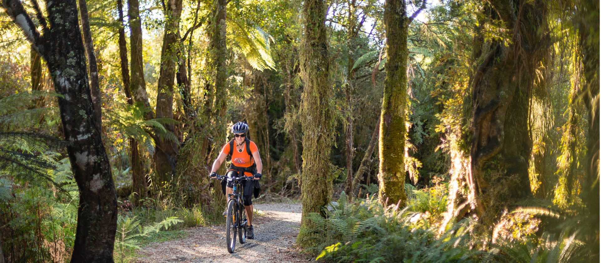Cycling through lush forest on the West Coast Wilderness Trail | Stephen Roberts