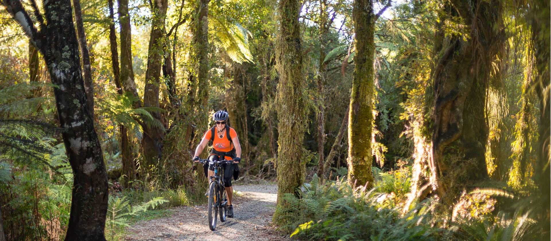 Cycling through lush forest on the West Coast Wilderness Trail | Stephen Roberts