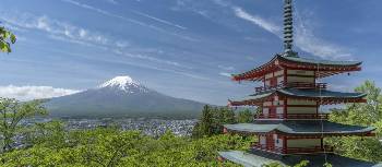 Stunning view of Mt Fuji on our Backroads of Japan