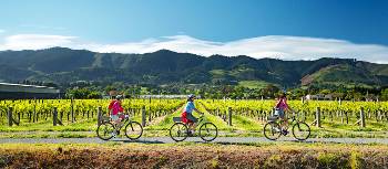 Cycling along the Nelson Great Taste Trail | Dean McKenzie