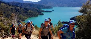 Trekking above Marlborough Sounds | Ross Daubney