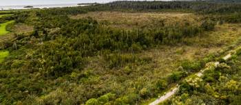 Cycling through the West Coast wetlands | Lachlan Gardiner