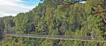 The magnificent Maramataha Bridge | bennettandslater.co.nz