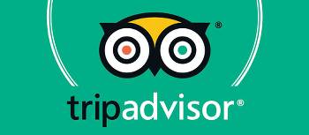 Adventure South TripAdvisor Excellence Award | Trip Advisor